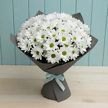 Букет цветов из:  Хризантемы #REPLACE_PRED# Краснотуранске