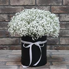 Цветочная композиция из Гипсофила в шляпной коробке #REPLACE_PRED# Краснотуранске