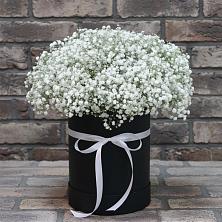 Цветочная композиция из Гипсофила в шляпной коробке в Краснотуранске